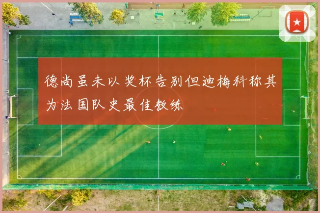 德尚虽未以奖杯告别但迪梅科称其为法国队史最佳教练